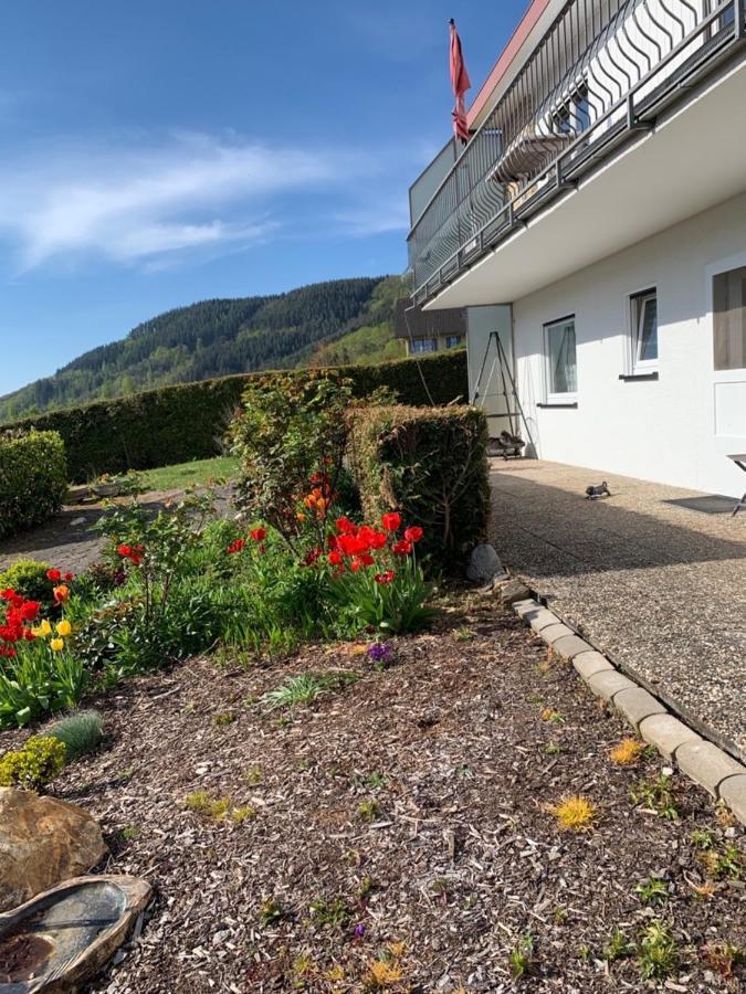 Fewo Moselblick Traben-Trarbach Εξωτερικό φωτογραφία